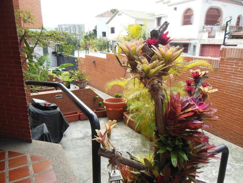 Casa (Multipes Niveles) en Venta en San Rafael de La Florida, Distrito Metropolitano - 37