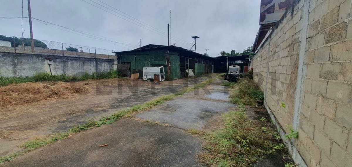 Inversión en San Félix - 3