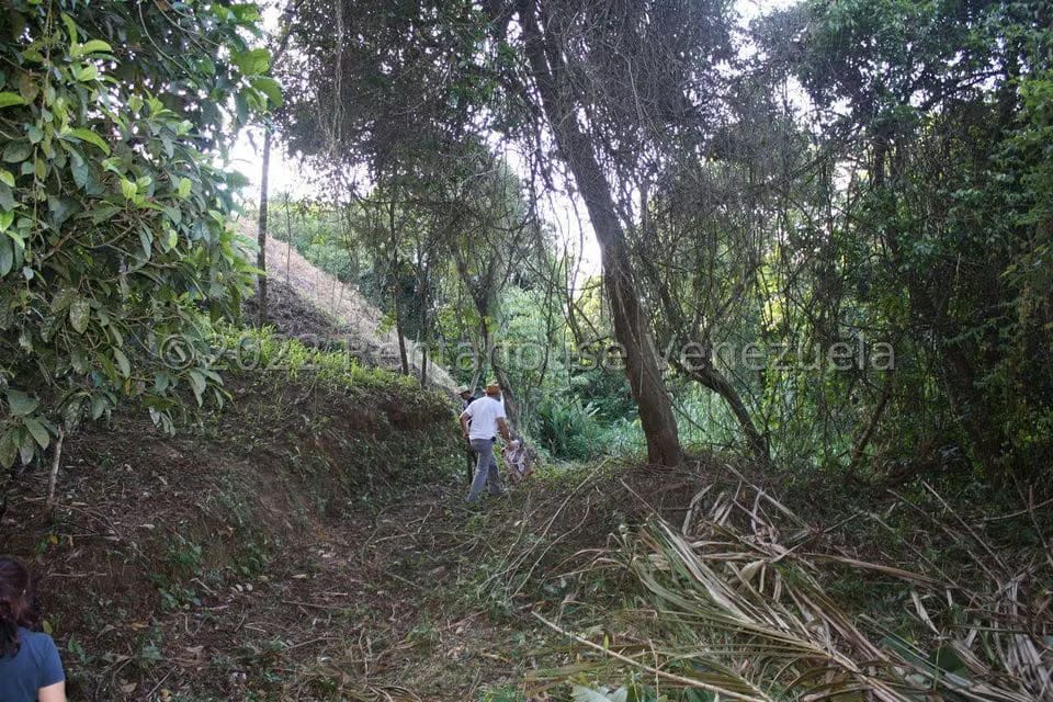 Terreno (Residencial) en Venta en La Union, Distrito Metropolitano - 3