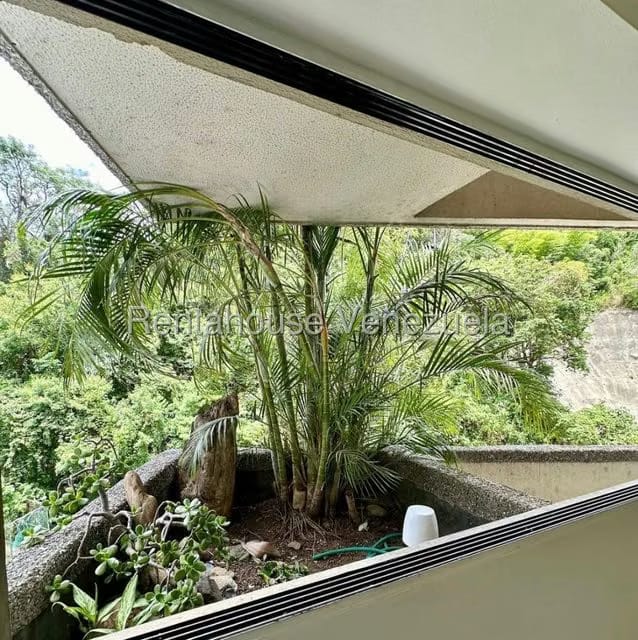 Apartamento (1 Nivel) en Alquiler en Guaicay, Distrito Metropolitano - 4