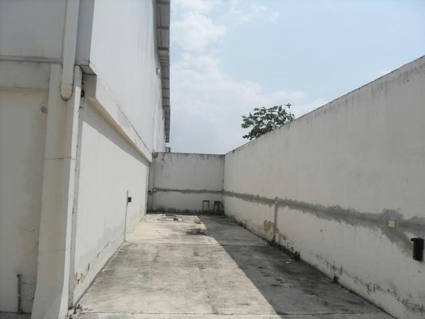 Comercial (Galpon - Deposito) en Venta en Monteserino, Carabobo - 32