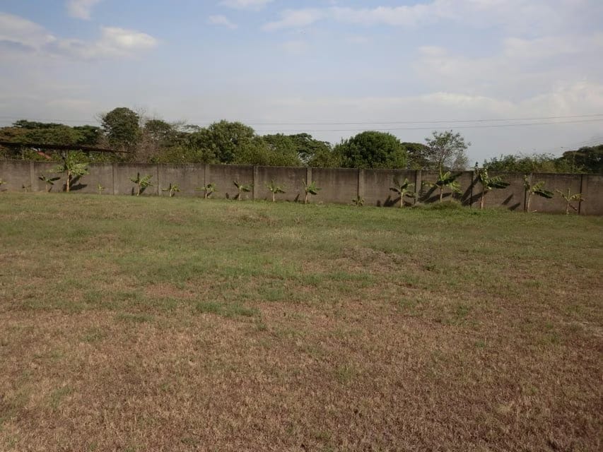 Terreno (Comercial) en Venta en Av General Miguel Acevedo, Miranda - 11