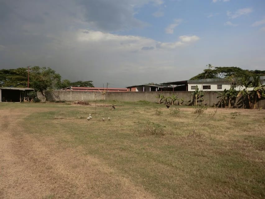 Terreno (Comercial) en Venta en Av General Miguel Acevedo, Miranda - 12