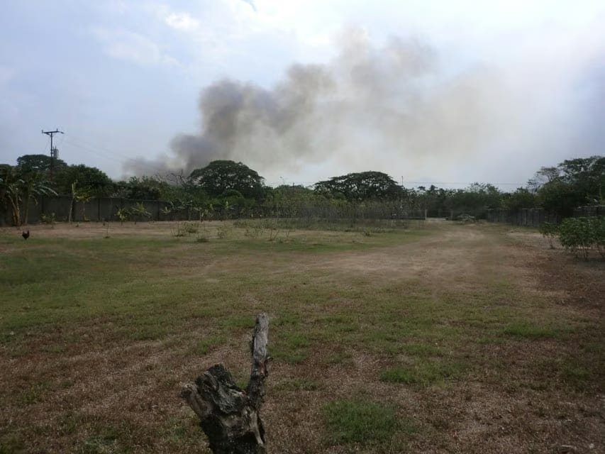 Terreno (Comercial) en Venta en Av General Miguel Acevedo, Miranda - 16