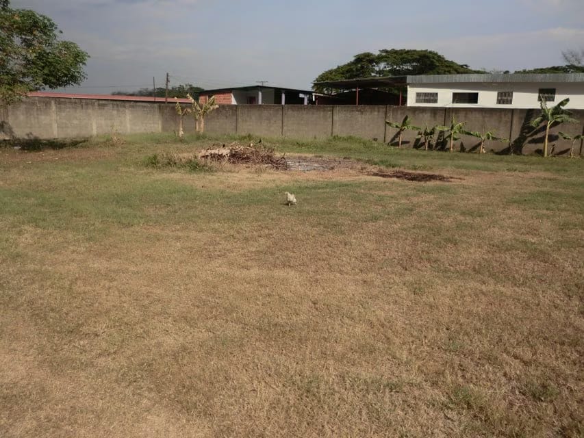 Terreno (Comercial) en Venta en Av General Miguel Acevedo, Miranda - 17