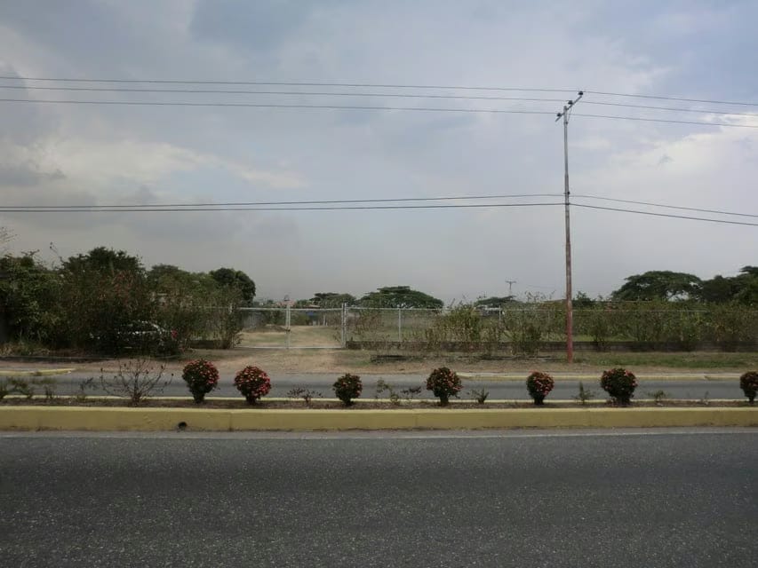 Terreno (Comercial) en Venta en Av General Miguel Acevedo, Miranda - 6