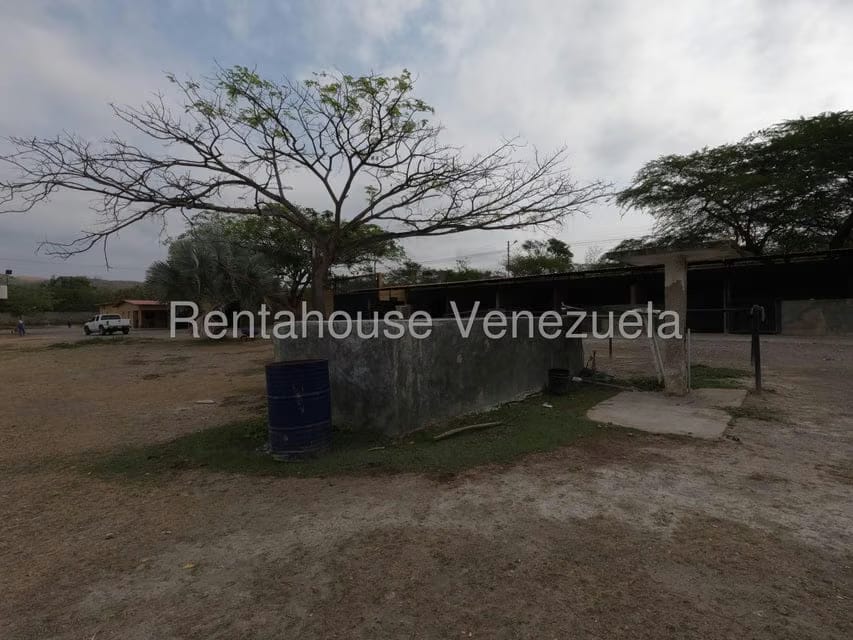 Comercial (Club Campestre) en Venta en Municipio Peña, Yaracuy - 29
