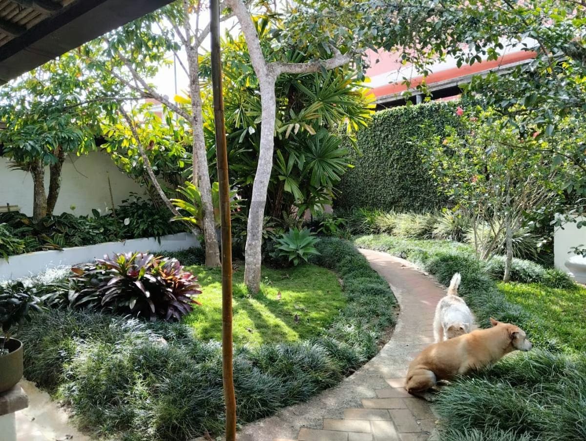 Alquiler de Hermoso y cómodo anexo en La Lagunita, El Hatillo - 3