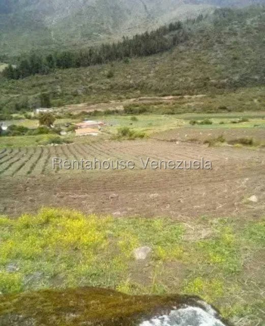 Terreno (Finca) en Venta en El Valle, Merida - 2