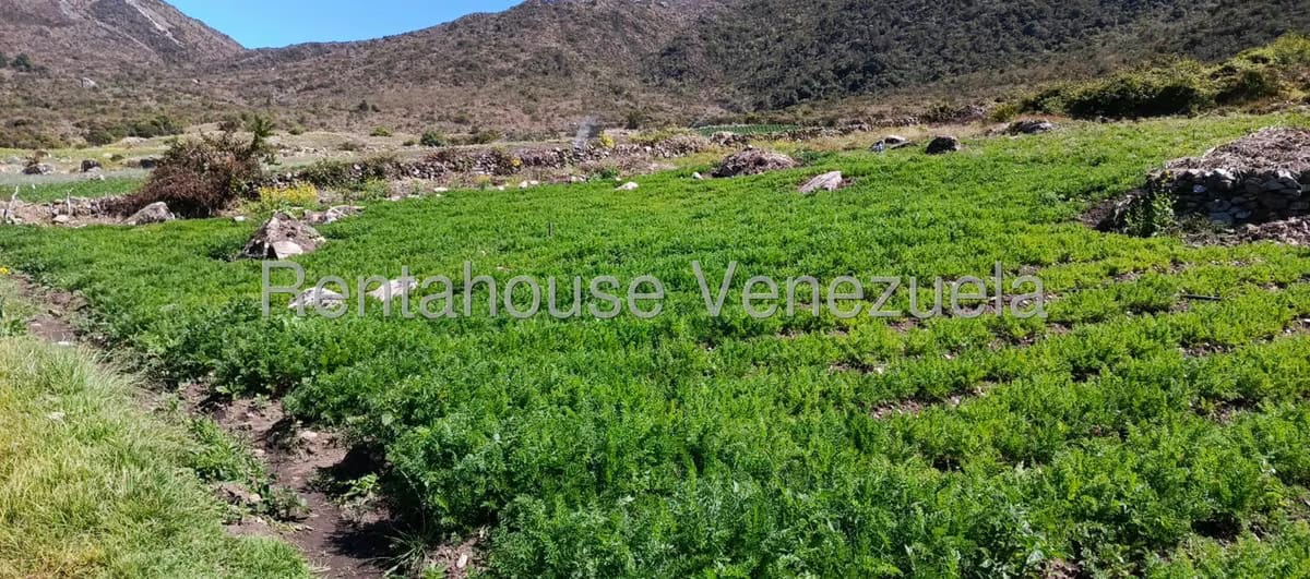 Terreno (Finca) en Venta en El Valle, Merida - 16