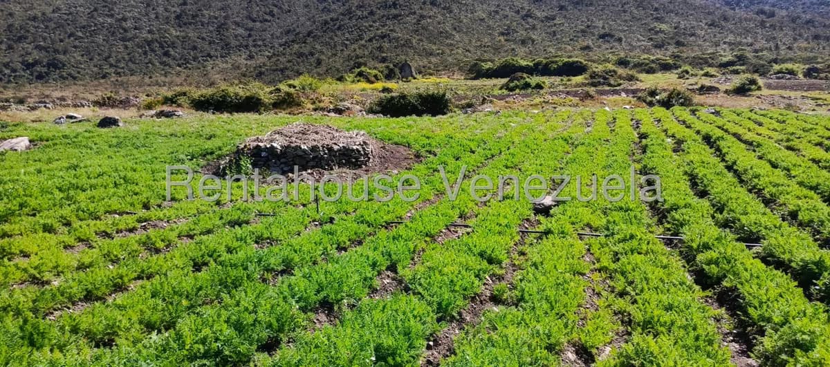 Terreno (Finca) en Venta en El Valle, Merida - 17