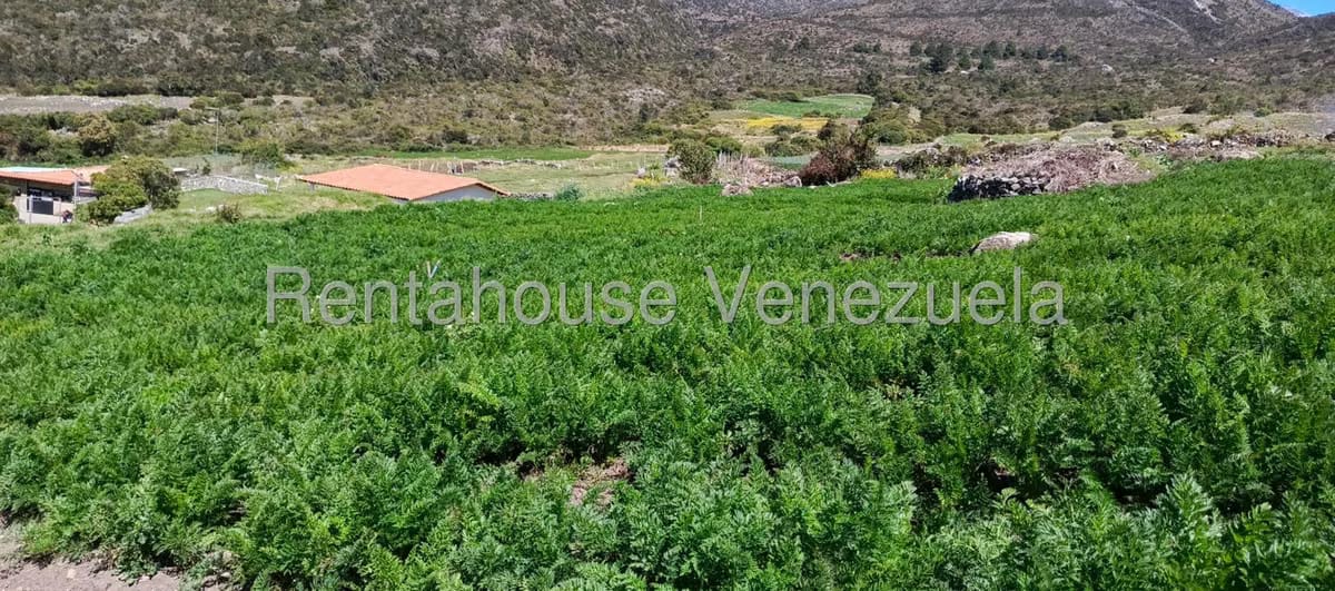 Terreno (Finca) en Venta en El Valle, Merida - 19