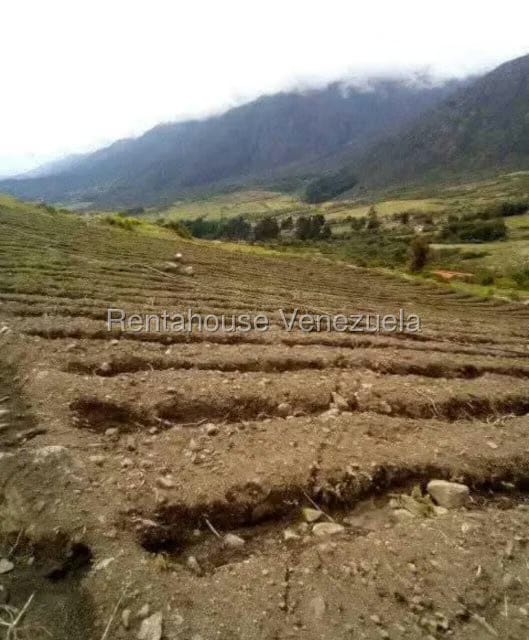 Terreno (Finca) en Venta en El Valle, Merida - 3
