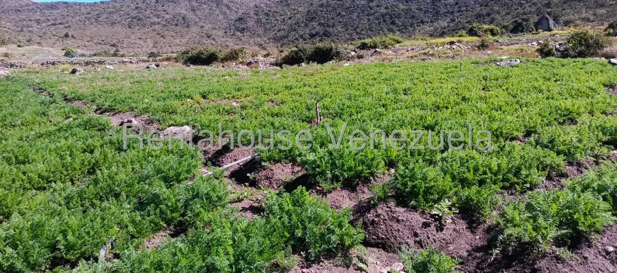 Terreno (Finca) en Venta en El Valle, Merida - 22