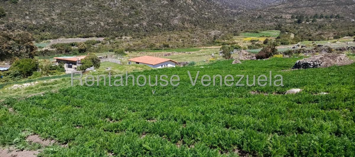 Terreno (Finca) en Venta en El Valle, Merida - 23