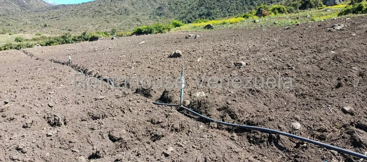Terreno (Finca) en Venta en El Valle, Merida - 24