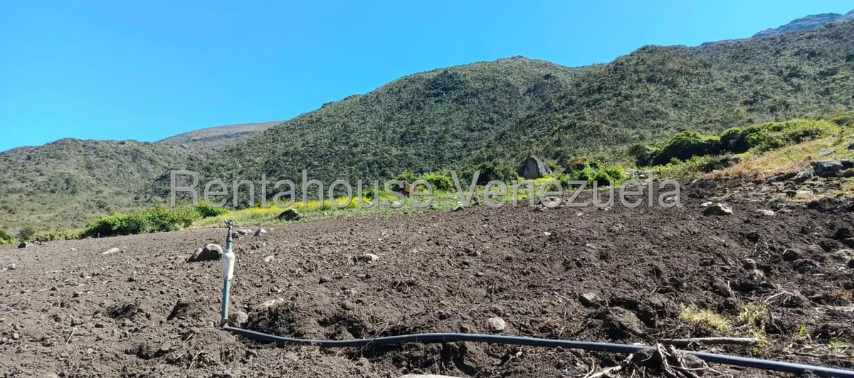 Terreno (Finca) en Venta en El Valle, Merida - 25