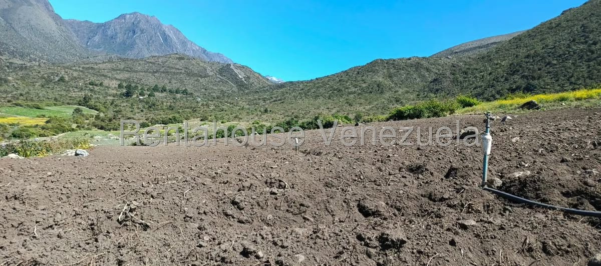 Terreno (Finca) en Venta en El Valle, Merida - 26