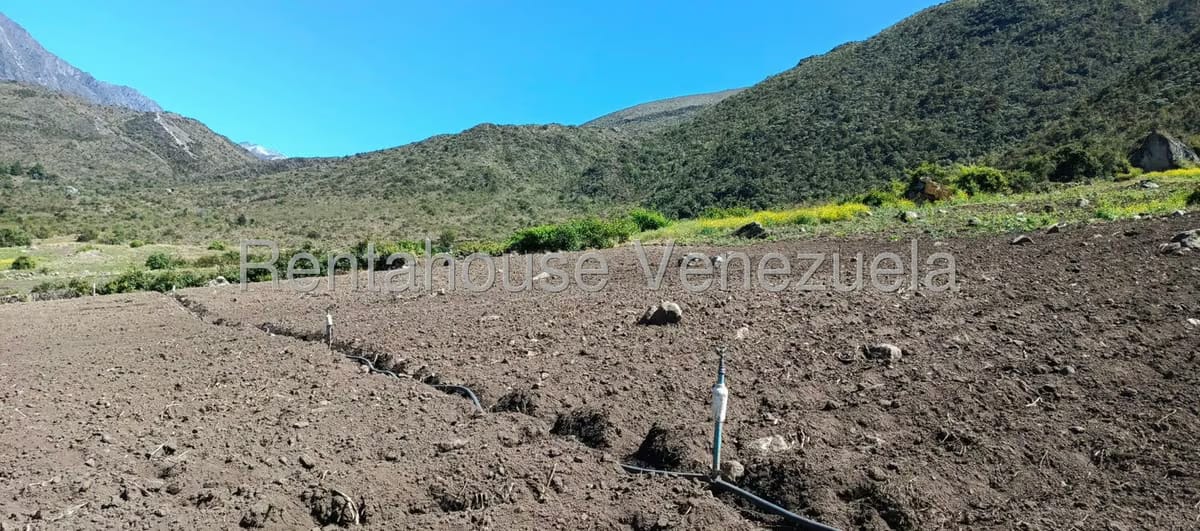 Terreno (Finca) en Venta en El Valle, Merida - 30