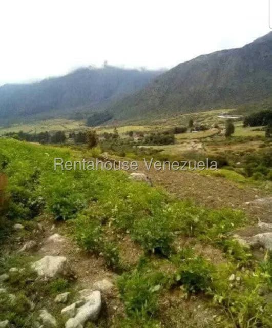 Terreno (Finca) en Venta en El Valle, Merida - 4