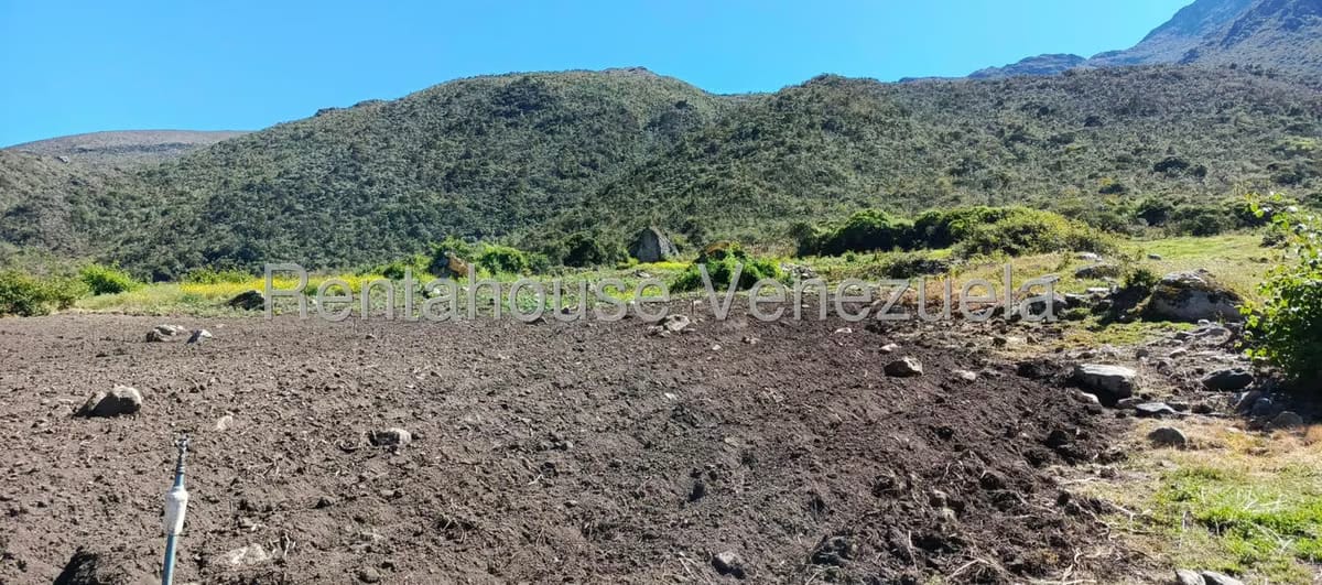 Terreno (Finca) en Venta en El Valle, Merida - 31