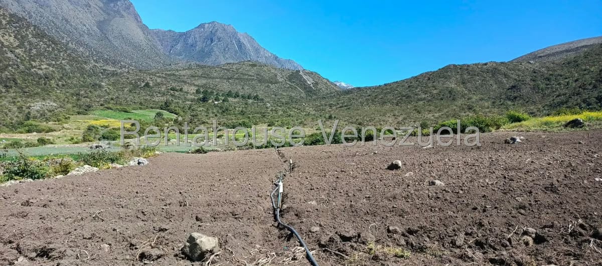 Terreno (Finca) en Venta en El Valle, Merida - 33
