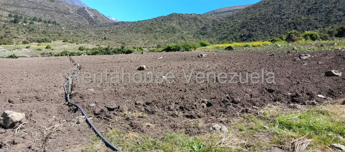 Terreno (Finca) en Venta en El Valle, Merida - 34