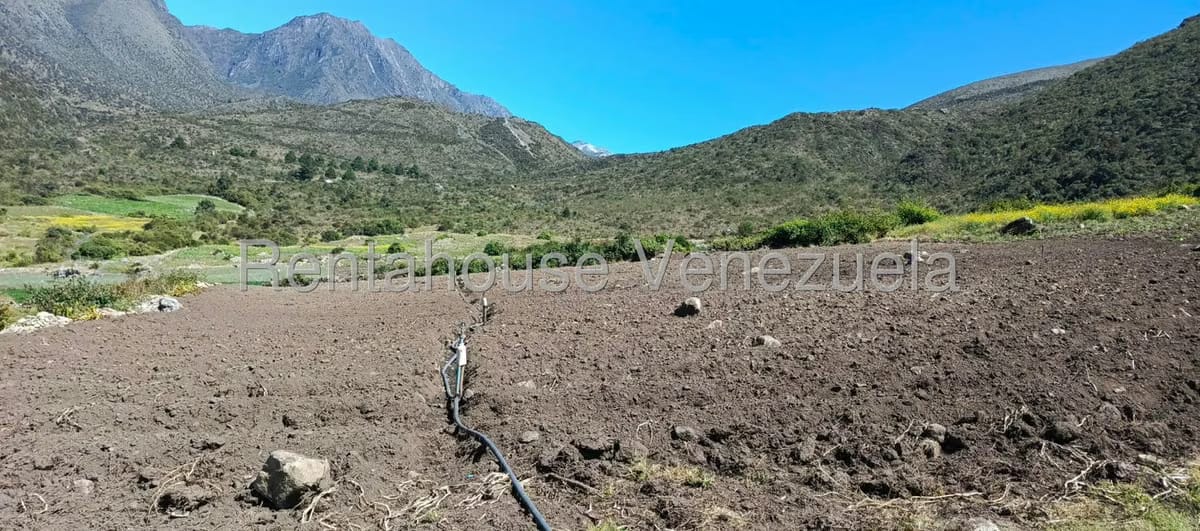 Terreno (Finca) en Venta en El Valle, Merida - 36