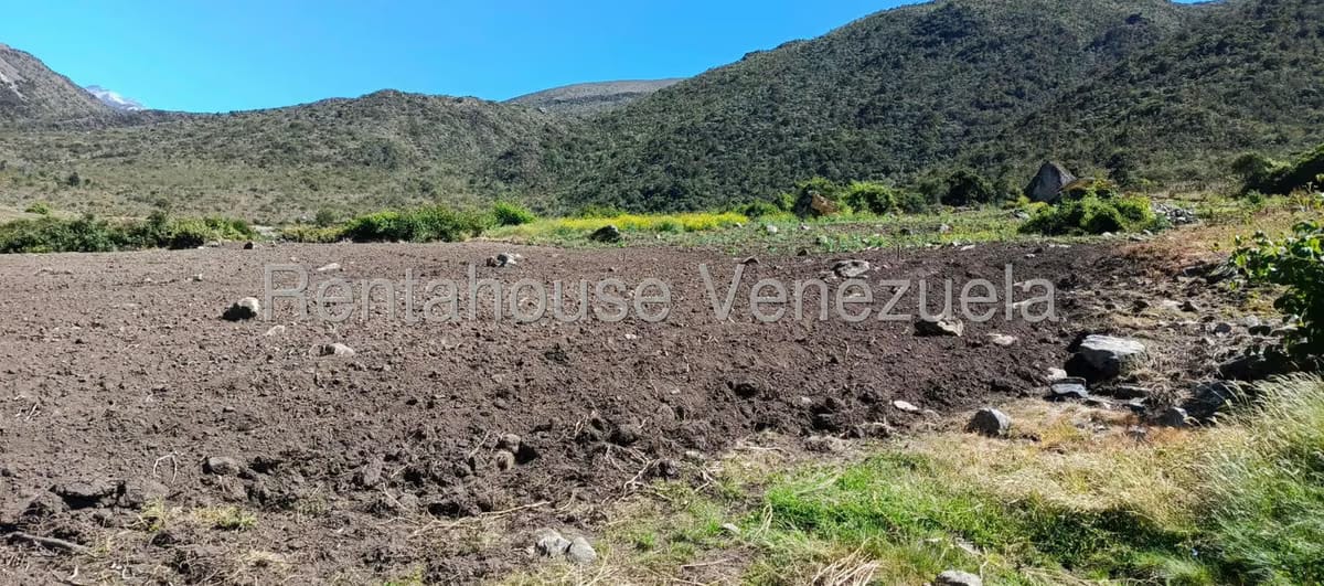 Terreno (Finca) en Venta en El Valle, Merida - 38