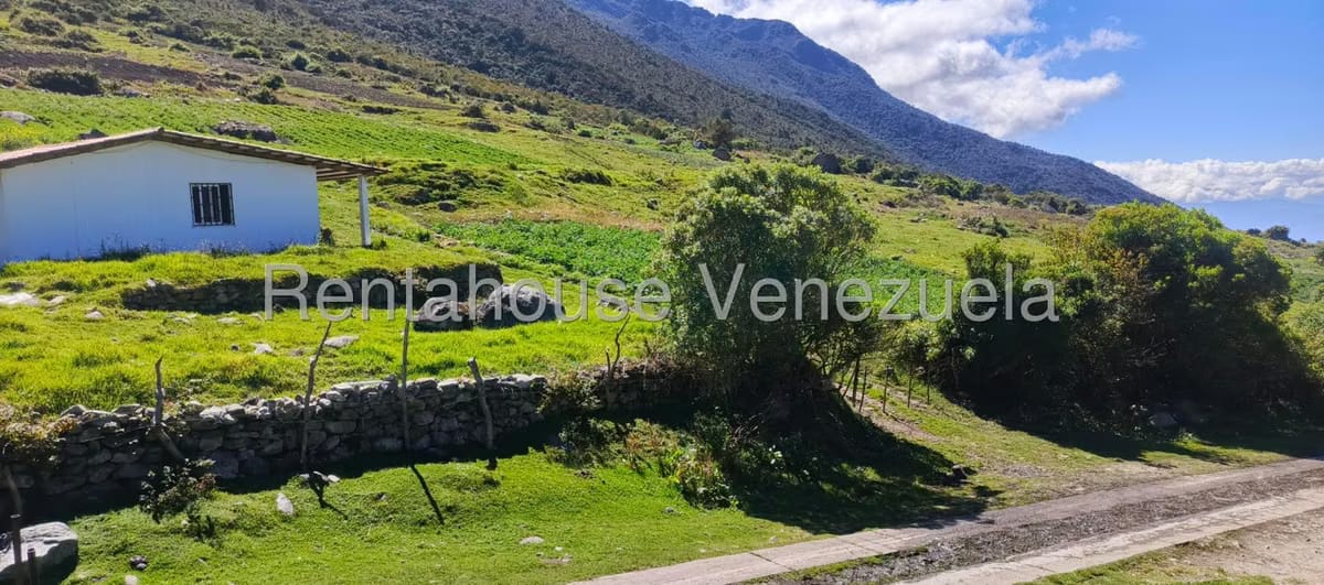 Terreno (Finca) en Venta en El Valle, Merida - 41