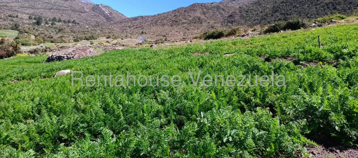 Terreno (Finca) en Venta en El Valle, Merida - 9