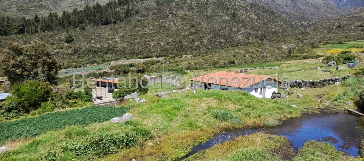 Terreno (Finca) en Venta en El Valle, Merida - 10