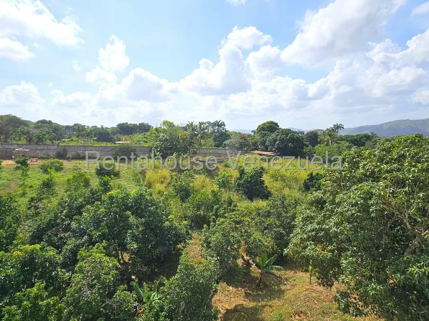 Casa (Multipes Niveles) en Venta en Municipio Peña, Yaracuy - 19