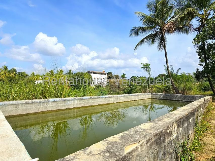 Casa (Multipes Niveles) en Venta en Municipio Peña, Yaracuy - 33