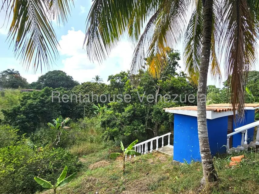 Casa (Multipes Niveles) en Venta en Municipio Peña, Yaracuy - 35