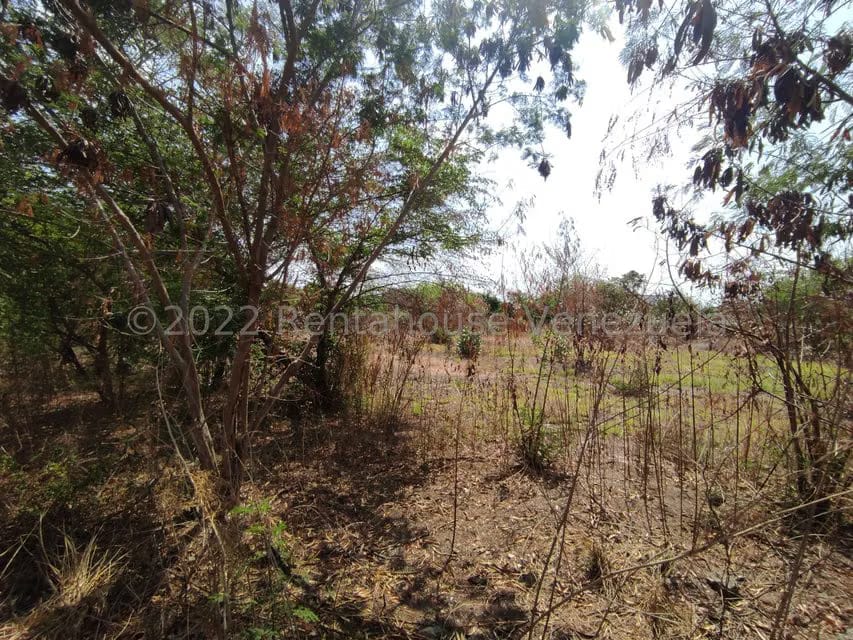 Terreno (Comercial) en Venta en Valle Jardin, Aragua - 14