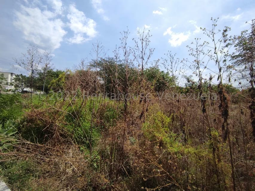 Terreno (Comercial) en Venta en Valle Jardin, Aragua - 16