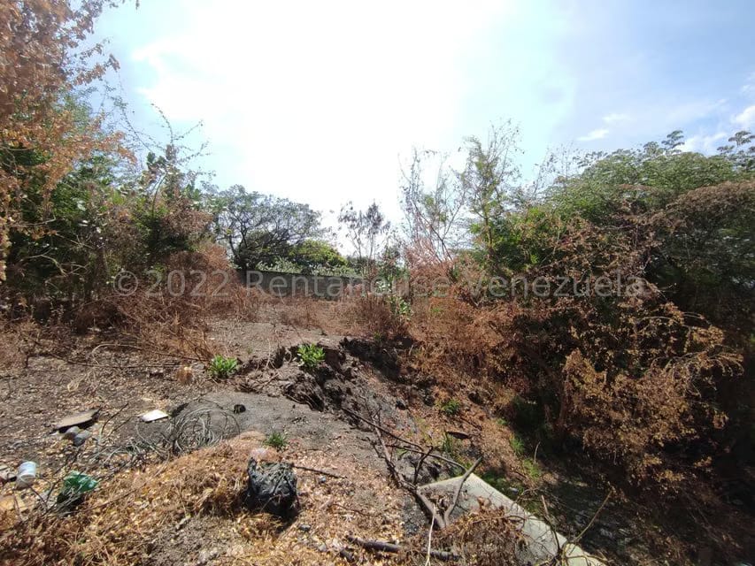 Terreno (Comercial) en Venta en Valle Jardin, Aragua - 18