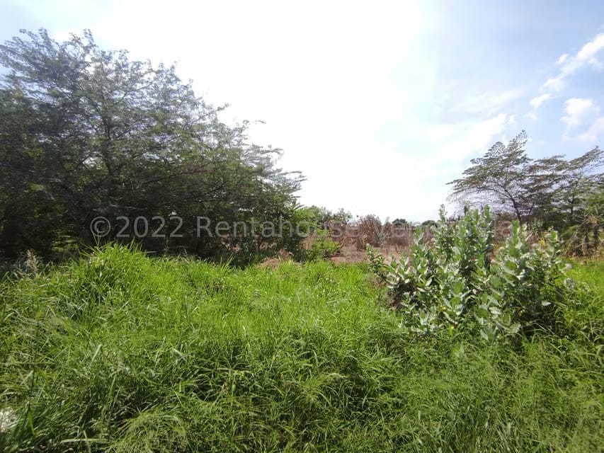 Terreno (Comercial) en Venta en Valle Jardin, Aragua - 10