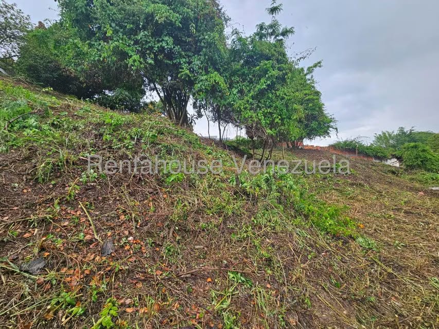 Terreno (Residencial) en Venta en Prados del Este, Distrito Metropolitano - 11