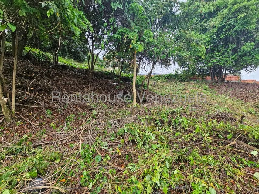 Terreno (Residencial) en Venta en Prados del Este, Distrito Metropolitano - 14