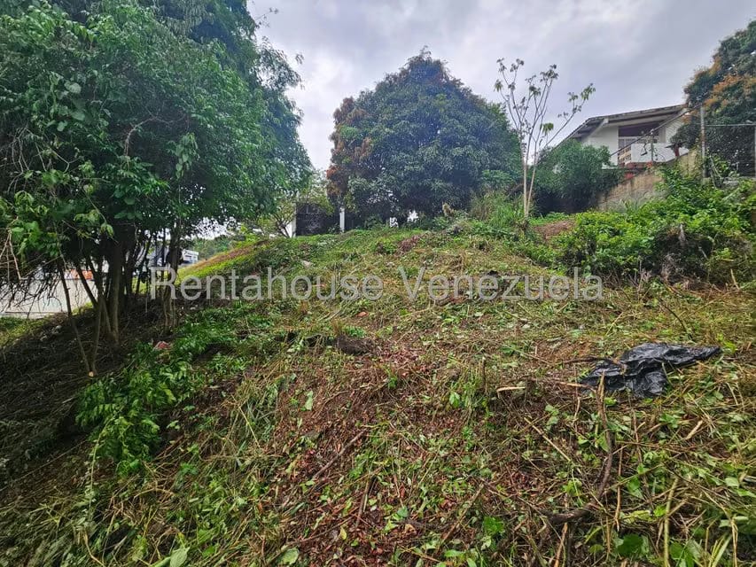 Terreno (Residencial) en Venta en Prados del Este, Distrito Metropolitano - 15