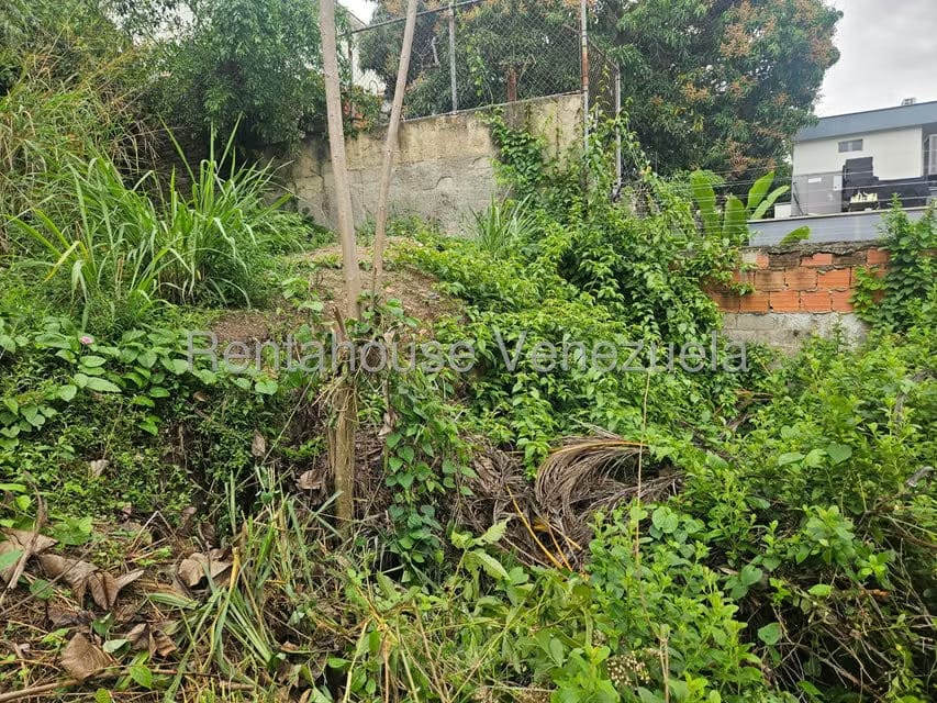 Terreno (Residencial) en Venta en Prados del Este, Distrito Metropolitano - 25