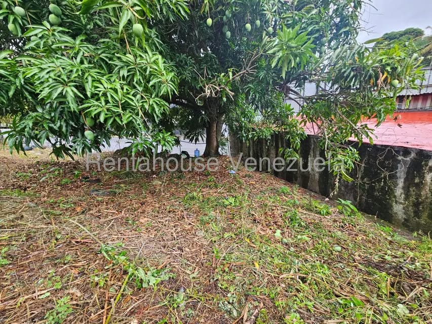 Terreno (Residencial) en Venta en Prados del Este, Distrito Metropolitano - 6