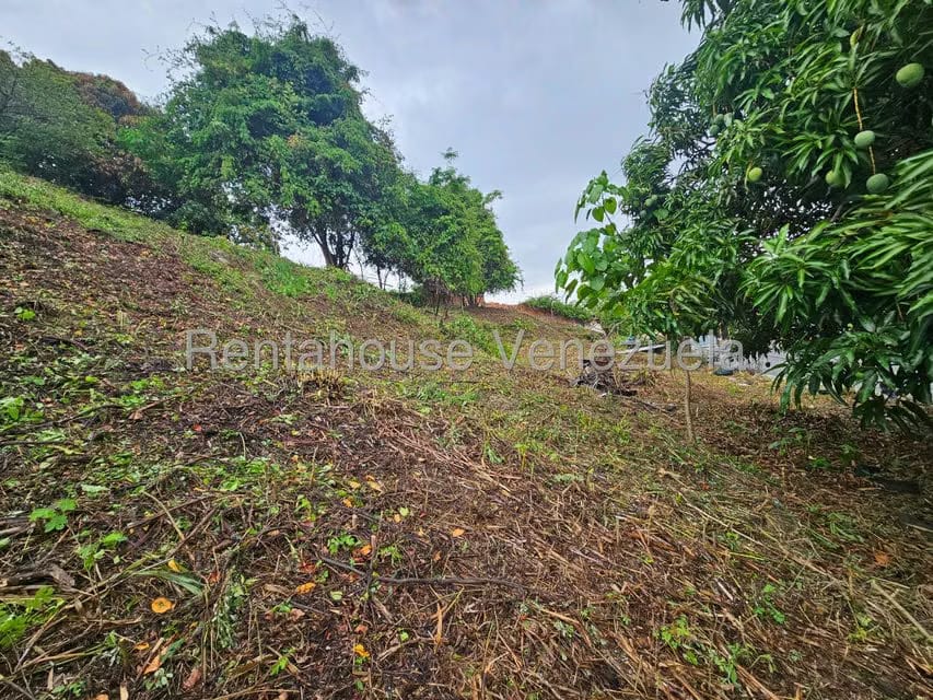 Terreno (Residencial) en Venta en Prados del Este, Distrito Metropolitano - 7