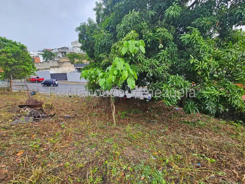 Terreno (Residencial) en Venta en Prados del Este, Distrito Metropolitano - 9