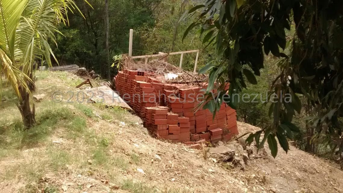 Terreno (Residencial) en Venta en Mampote, Miranda - 5