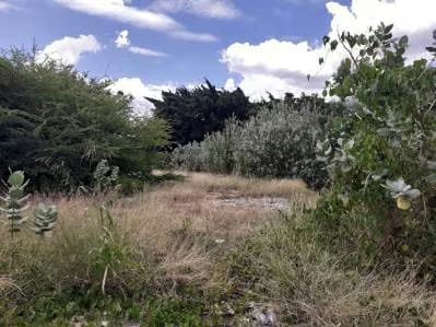 Master Site Logístico/Industrial-14.102 m2 de Ventaja Estratégica-La Encrucijada - 4