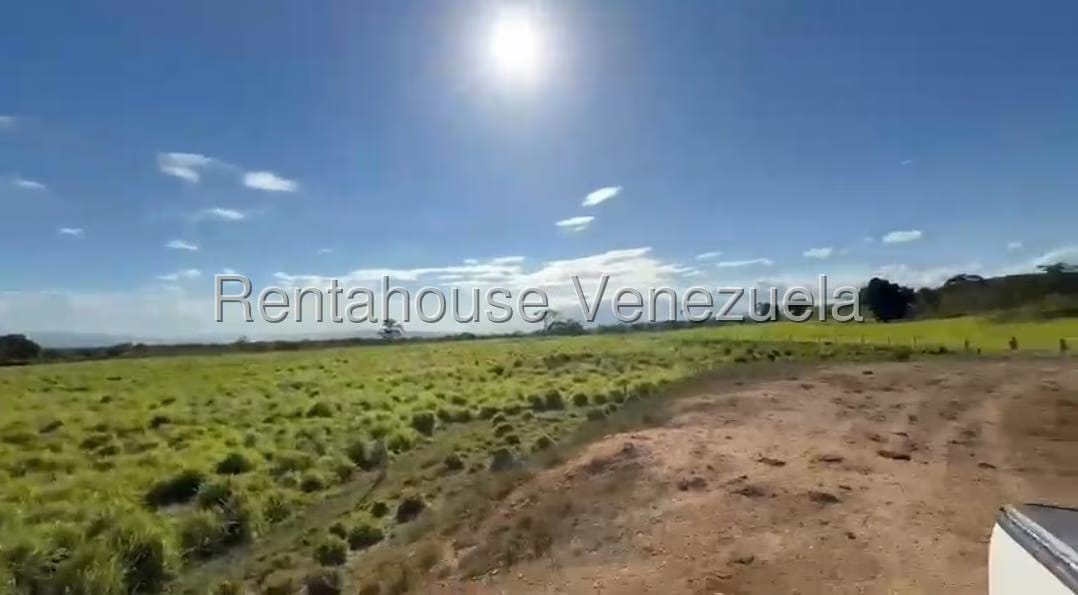Terreno (Finca) en Venta en San Felipe, Yaracuy - 11