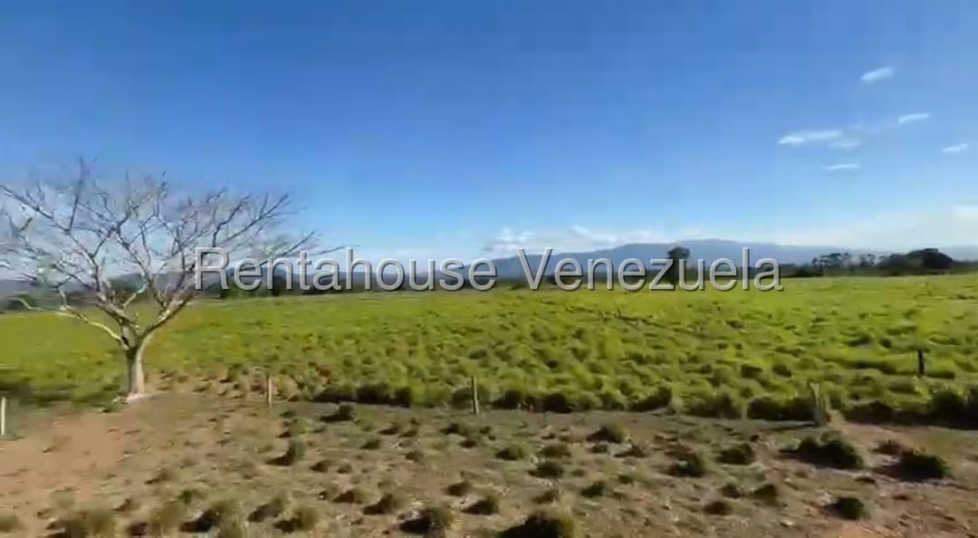 Terreno (Finca) en Venta en San Felipe, Yaracuy - 12